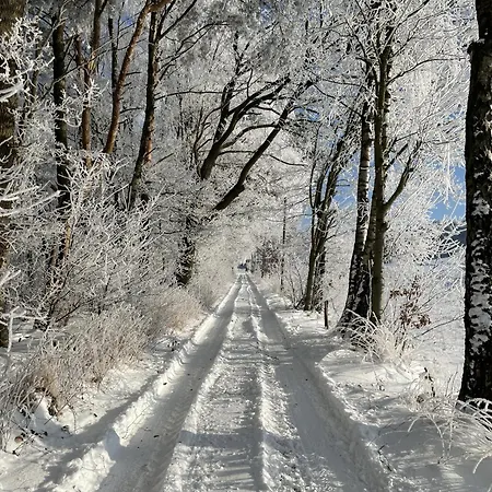 Am Grasengrundsberg *